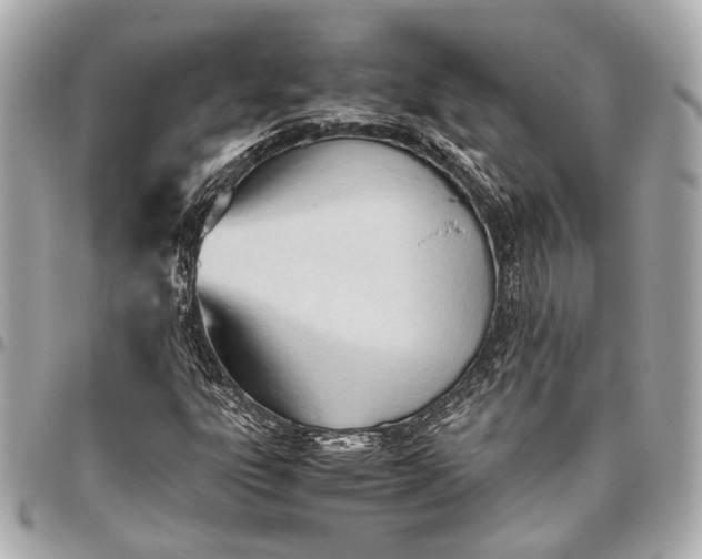 X0000096461303200802071825
