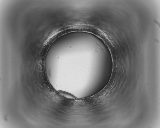 X0000096461304200802071825