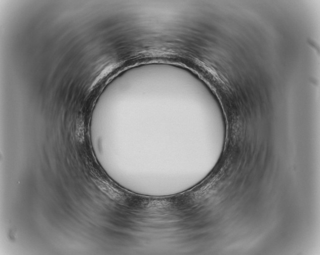 X0000096461306200802071825