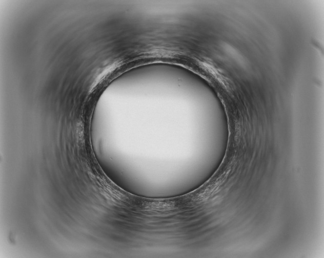 X0000096461307200802071825