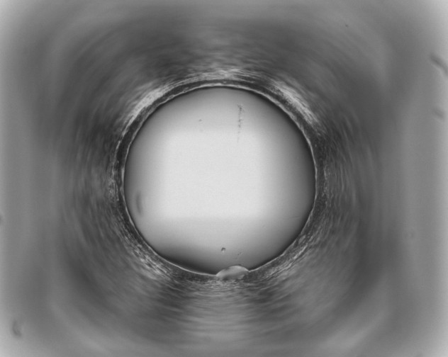X0000096461308200802071825