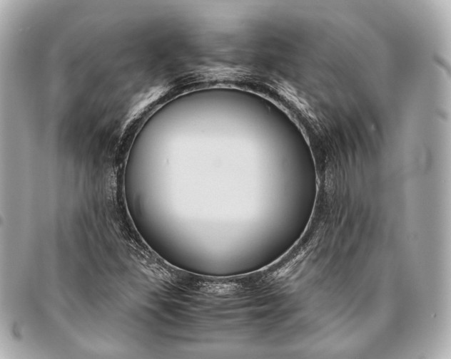 X0000096461309200802071825