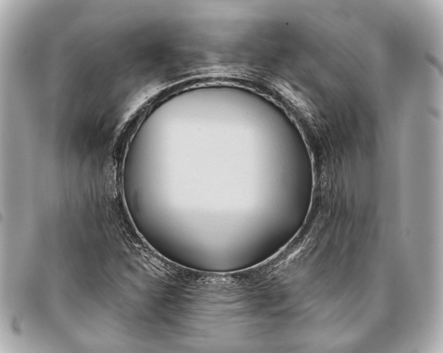 X0000096461310200802071825