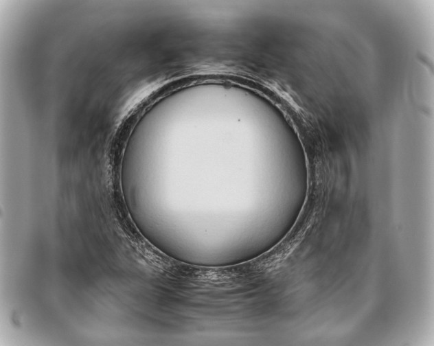 X0000096461311200802071825