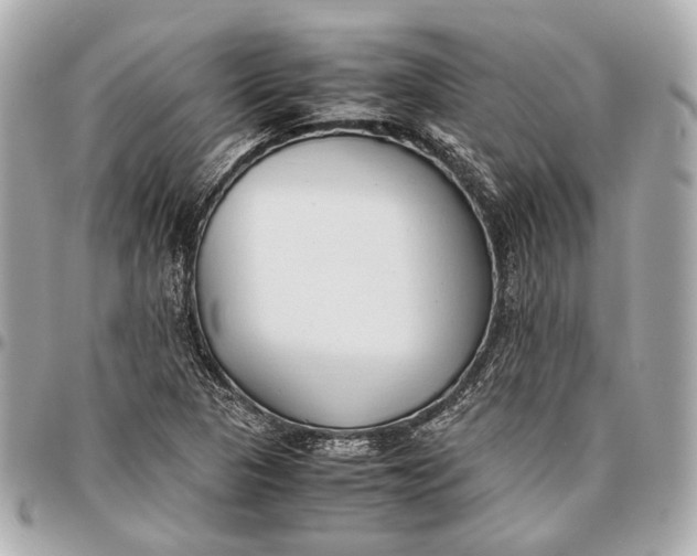 X0000096461313200802071825