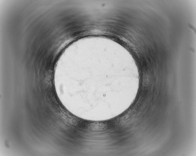 X0000096461314200802071825