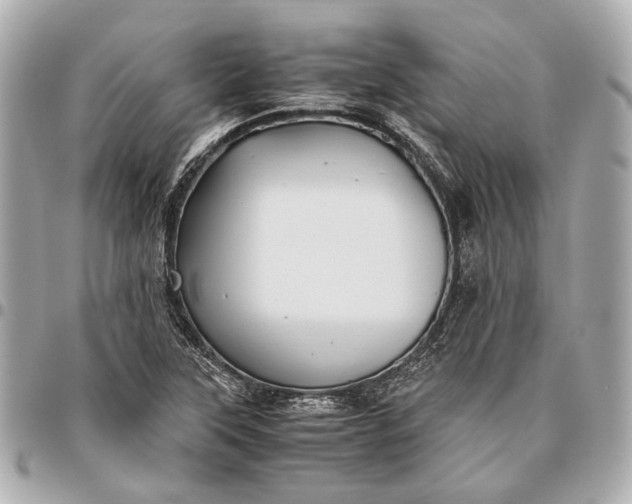 X0000096461315200802071825