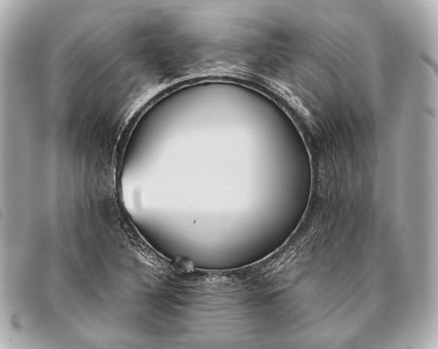 X0000096461316200802071825