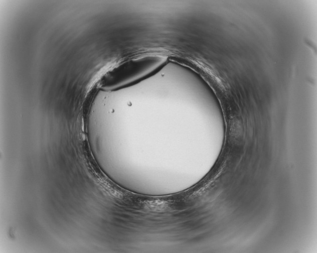 X0000096461317200802071825