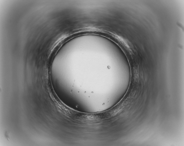X0000096461318200802071825