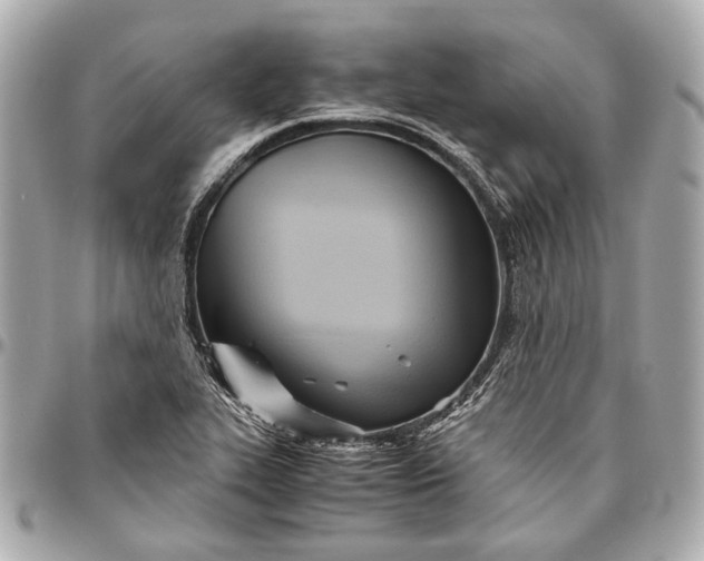 X0000096461319200802071825