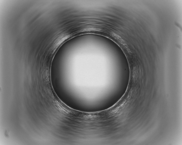 X0000096461321200802071825