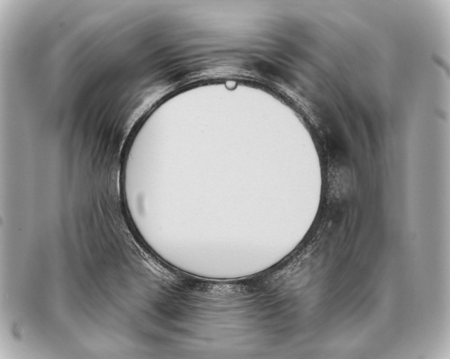 X0000096461322200802071825