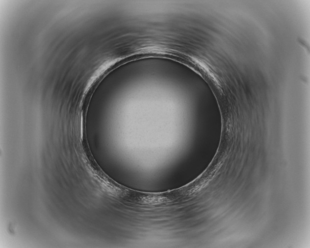 X0000096461323200802071825