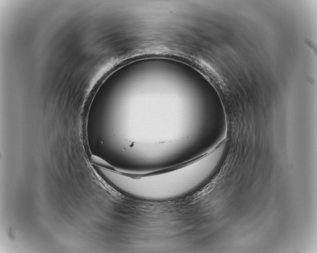 X0000096461326200802071825