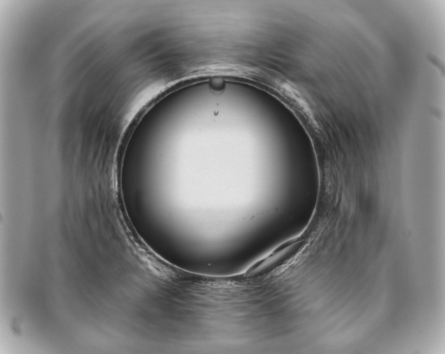 X0000096461328200802071825