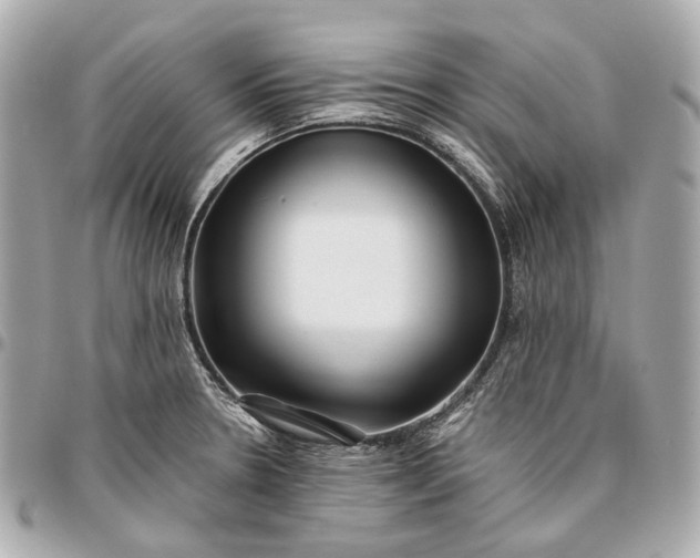 X0000096461330200802071825