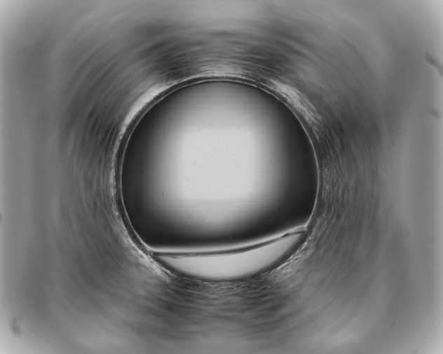 X0000096461331200802071825