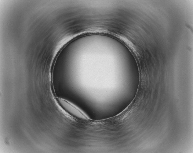 X0000096461335200802071825