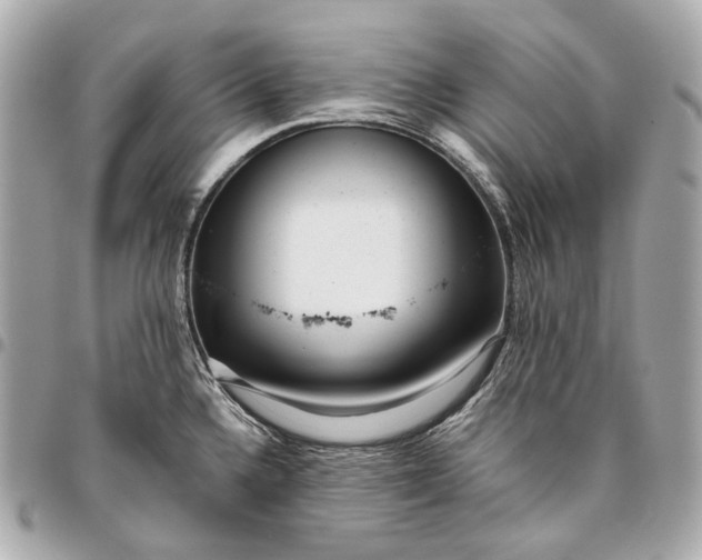 X0000096461336200802071825