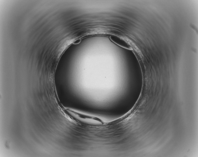 X0000096461337200802071825
