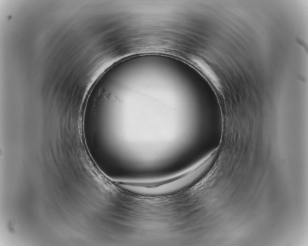 X0000096461340200802071825