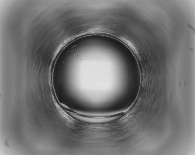 X0000096461342200802071825