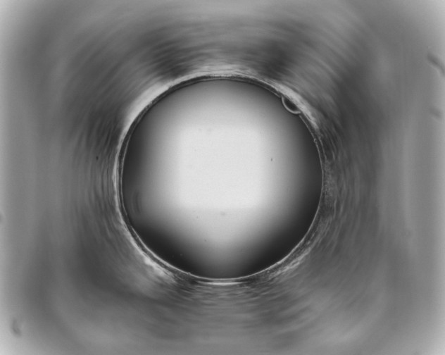 X0000096461343200802071825