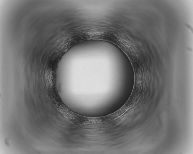 X0000096461346200802071825