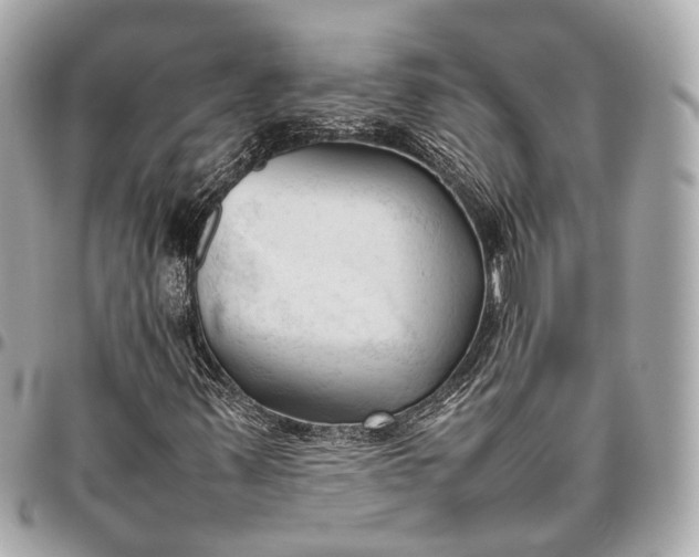 X0000096461347200802071825