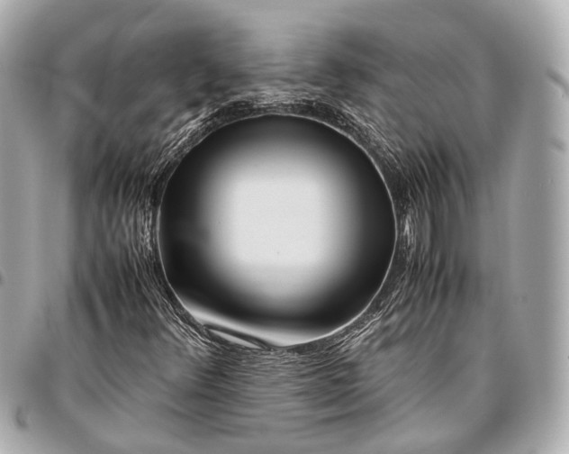 X0000096461348200802071825