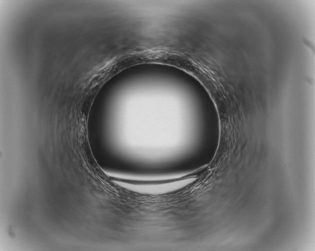 X0000096461349200802071825