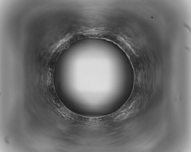 X0000096461350200802071825