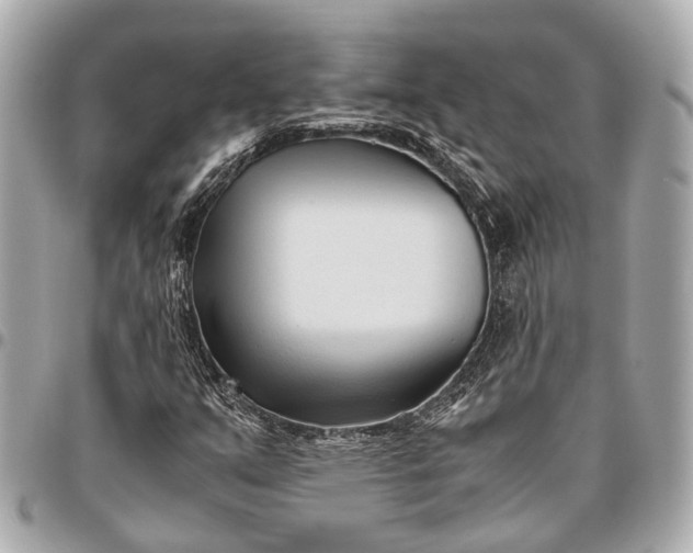 X0000096461351200802071825
