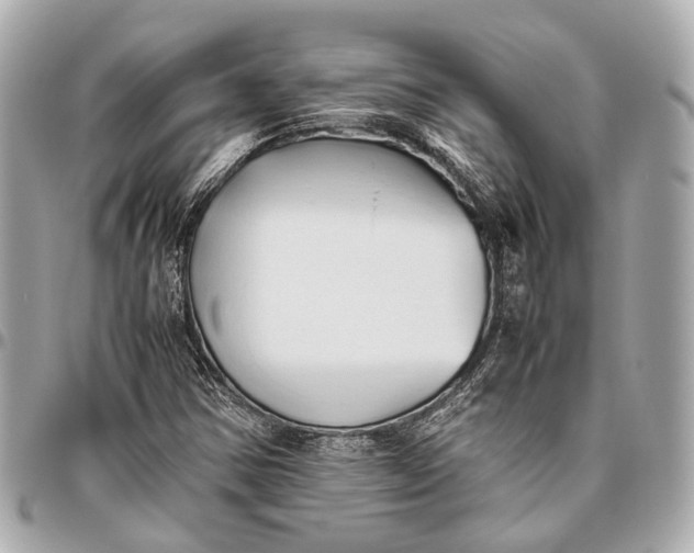 X0000096461354200802071825