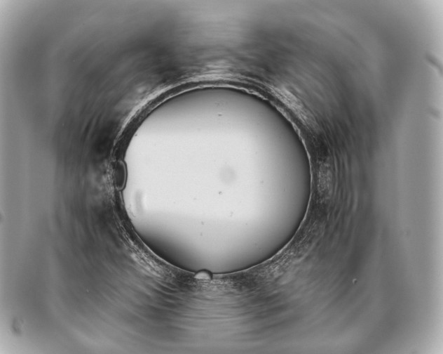 X0000096461356200802071825