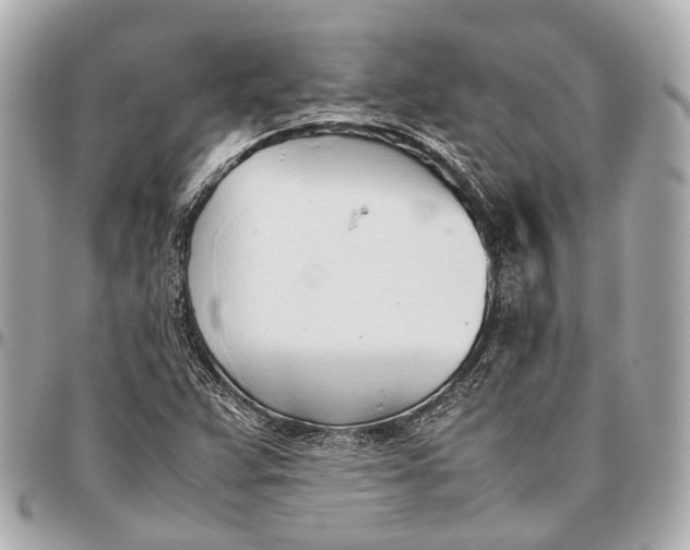 X0000096461359200802071825