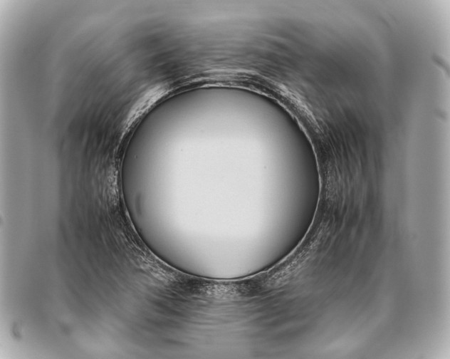 X0000096461362200802071825