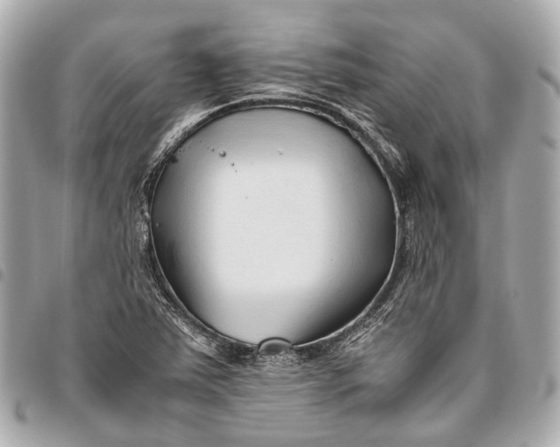 X0000096461363200802071825
