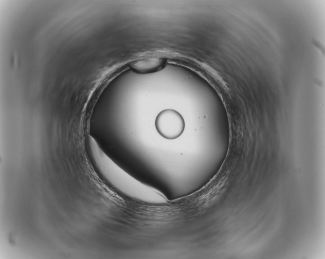 X0000096461364200802071825