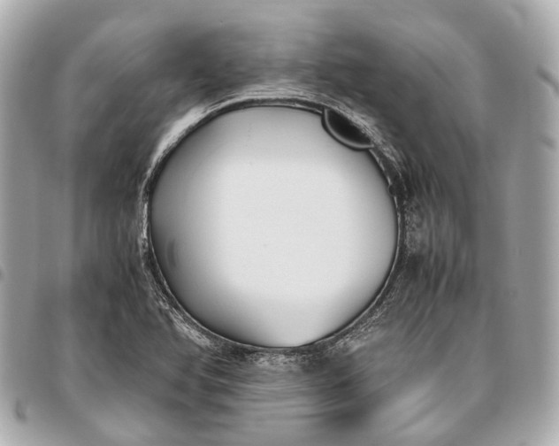 X0000096461366200802071825