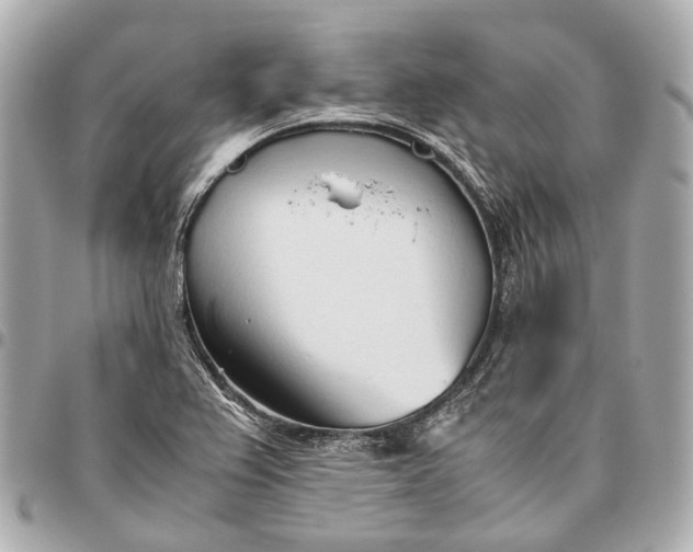 X0000096461367200802071825