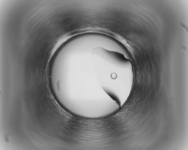 X0000096461368200802071825