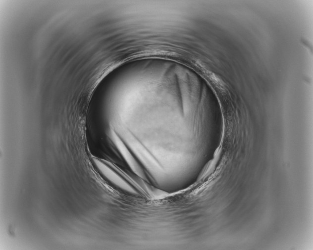 X0000096461369200802071825