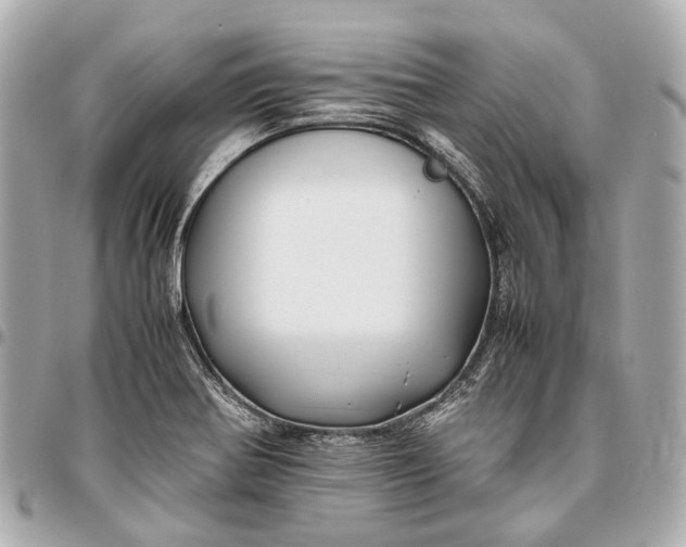 X0000096461370200802071825