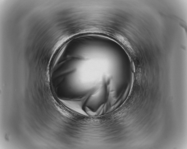 X0000096461372200802071824