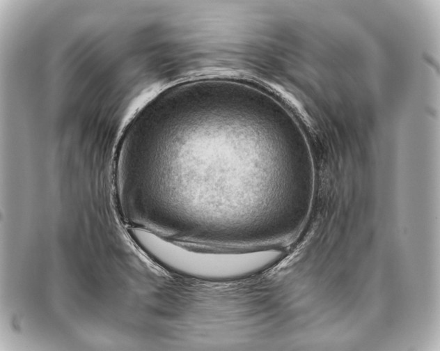 X0000096461373200802071824