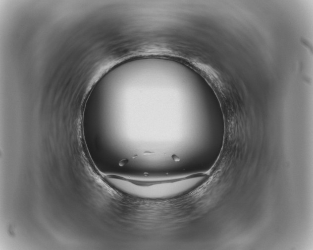 X0000096461374200802071824