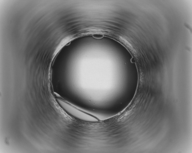 X0000096461378200802071824