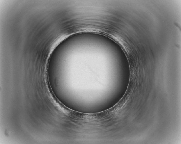 X0000096461379200802071824